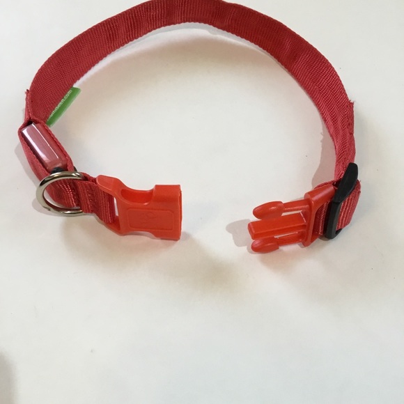 Illumiseen LED dog collar, lights up or flashes, nylon, size M, fits 16” to 20”. - Picture 3 of 8